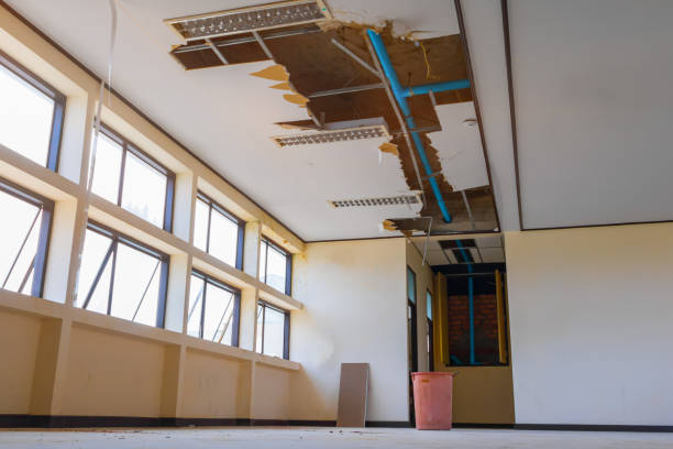 Best Professional water damage repair  in Lock Haven, PA