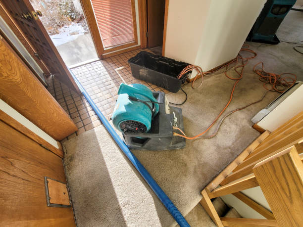 Best Ceiling water damage repair  in Lock Haven, PA
