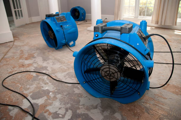 Best Fire Damage Restoration  in Lock Haven, PA
