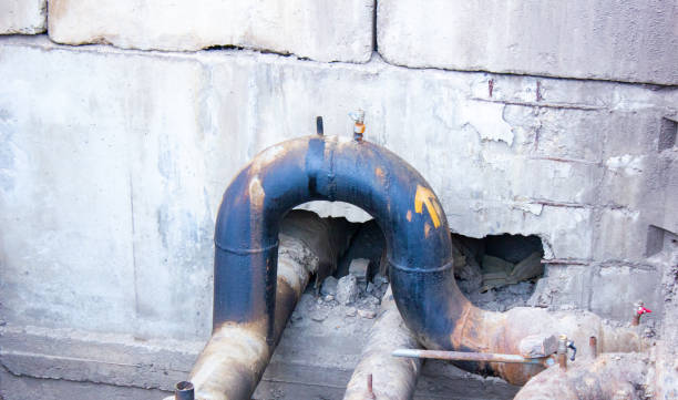 Best Flood damage cleanup  in Lock Haven, PA